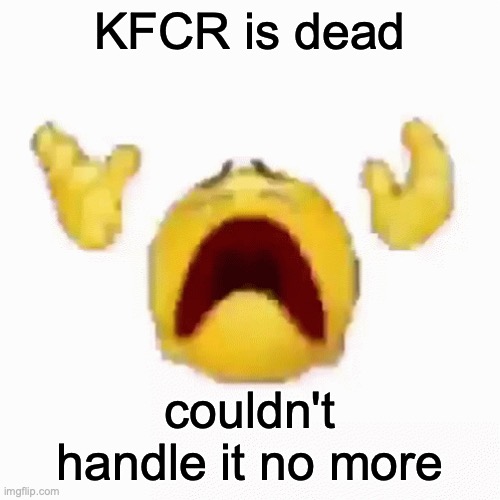 :nooo: | KFCR is dead; couldn't handle it no more | image tagged in nooo | made w/ Imgflip meme maker