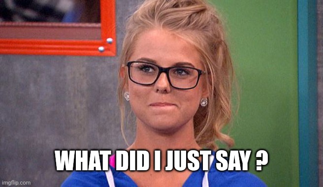 Nicole 's thinking | WHAT DID I JUST SAY ? | image tagged in nicole 's thinking | made w/ Imgflip meme maker