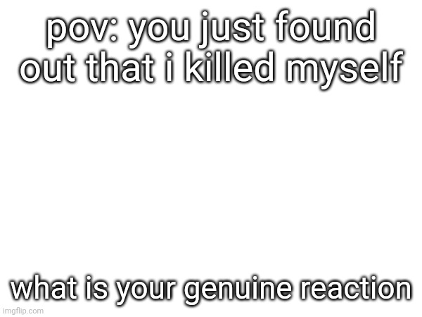 pov: you just found out that i killed myself; what is your genuine reaction | made w/ Imgflip meme maker