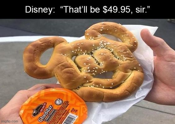 I've been to Disneyworld before and this is accurate asf | image tagged in memes,funny | made w/ Imgflip meme maker