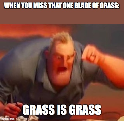 Insert 69420 cuss words | WHEN YOU MISS THAT ONE BLADE OF GRASS:; GRASS IS GRASS | image tagged in mr incredible mad | made w/ Imgflip meme maker