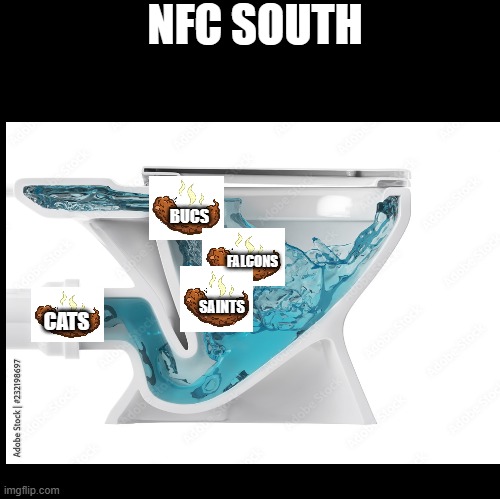 Blank | NFC SOUTH; BUCS; FALCONS; SAINTS; CATS | image tagged in blank | made w/ Imgflip meme maker