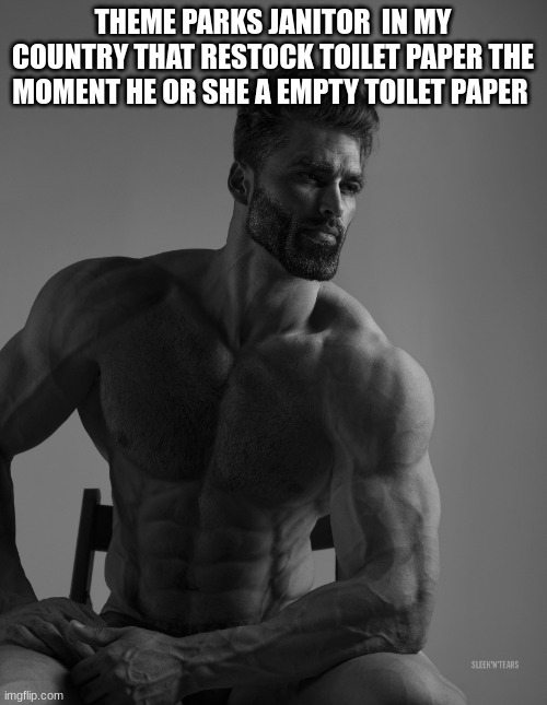 Giga Chad | THEME PARKS JANITOR  IN MY COUNTRY THAT RESTOCK TOILET PAPER THE MOMENT HE OR SHE A EMPTY TOILET PAPER | image tagged in giga chad | made w/ Imgflip meme maker