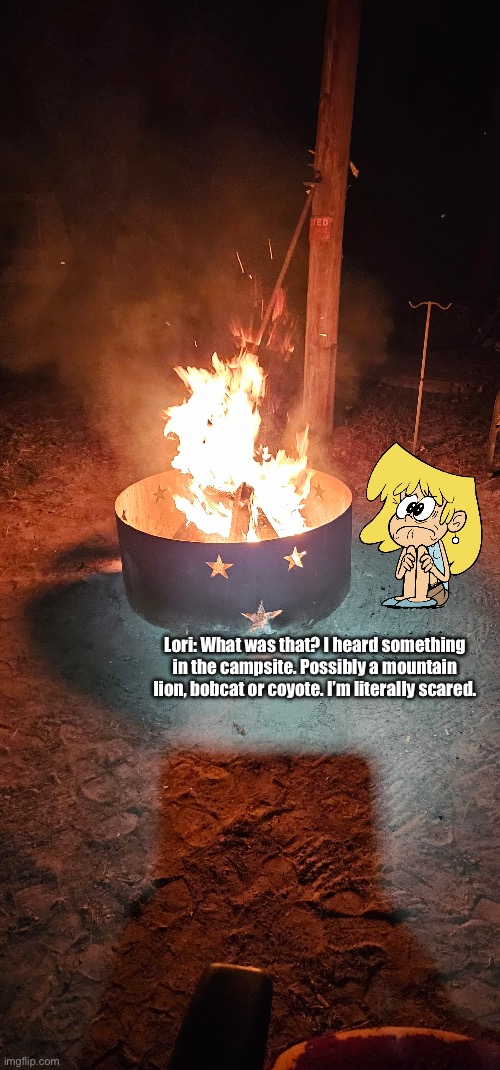 Lori becomes literally scared | Lori: What was that? I heard something in the campsite. Possibly a mountain lion, bobcat or coyote. I’m literally scared. | image tagged in the loud house,lori loud,scared,nickelodeon,coyote,campfire | made w/ Imgflip meme maker