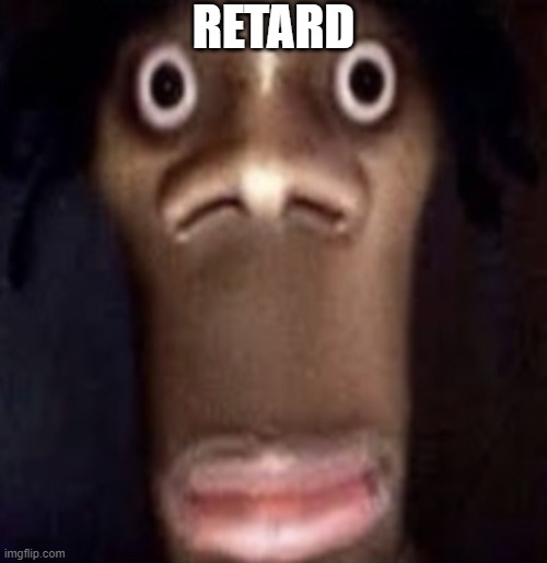 Quandale dingle | RETARD | image tagged in quandale dingle | made w/ Imgflip meme maker