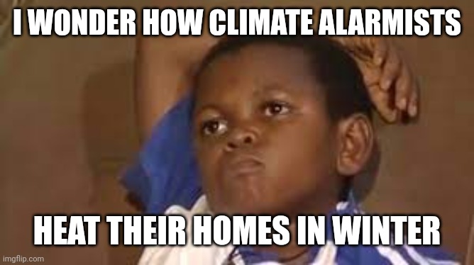 Just stop oil, coal, gas, wood... | I WONDER HOW CLIMATE ALARMISTS; HEAT THEIR HOMES IN WINTER | image tagged in black kid thinking good quality,climate change,climate alarmists,leftists,liberals,democrats | made w/ Imgflip meme maker
