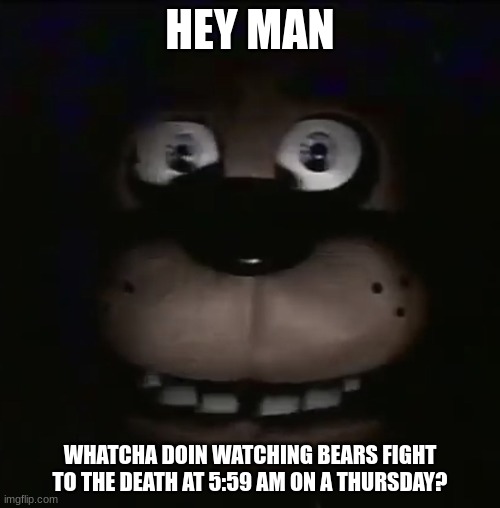 Dude Freddy's just checking up on your sanity. | HEY MAN; WHATCHA DOIN WATCHING BEARS FIGHT TO THE DEATH AT 5:59 AM ON A THURSDAY? | image tagged in freddy,fnaf | made w/ Imgflip meme maker