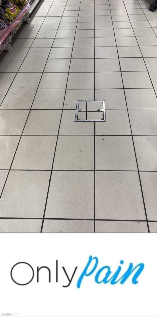 Tiles | image tagged in onlypain,floor,tiles,you had one job,memes,floors | made w/ Imgflip meme maker