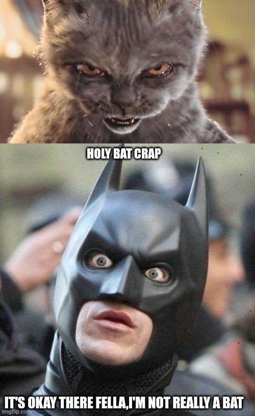 HOLY BAT CRAP; IT'S OKAY THERE FELLA,I'M NOT REALLY A BAT | image tagged in evil cat,shocked batman | made w/ Imgflip meme maker