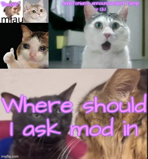AmeTonian's announcement Temp v 1.2.1 | Where should I ask mod in | image tagged in ametonian's announcement temp v 1 2 1 | made w/ Imgflip meme maker