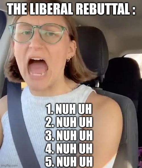Unhinged Liberal Lunatic Idiot Woman Meltdown Screaming in Car | THE LIBERAL REBUTTAL : 1. NUH UH
2. NUH UH
3. NUH UH
4. NUH UH
5. NUH UH | image tagged in unhinged liberal lunatic idiot woman meltdown screaming in car | made w/ Imgflip meme maker