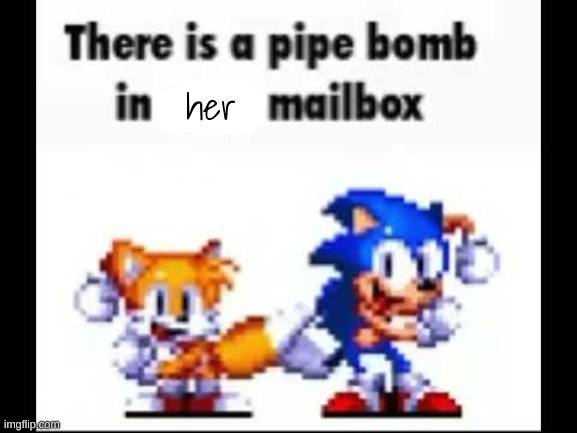 There is a pipe bomb in your mailbox | her | image tagged in there is a pipe bomb in your mailbox | made w/ Imgflip meme maker