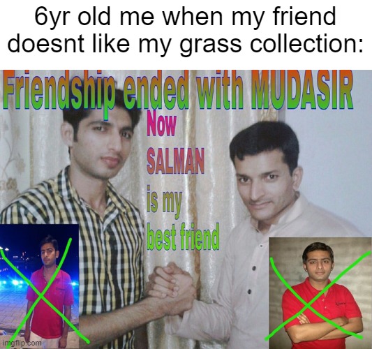ong | 6yr old me when my friend doesnt like my grass collection: | image tagged in friendship ended,memes,funny,school,kids,relatable | made w/ Imgflip meme maker