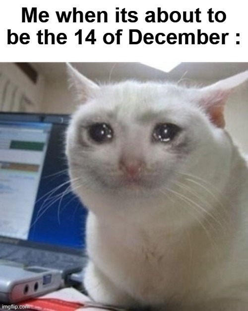 Only legends know | Me when its about to be the 14 of December : | image tagged in crying cat,relatable,memes,funny memes,fun stream | made w/ Imgflip meme maker