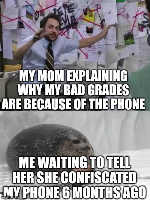 Why | MY MOM EXPLAINING WHY MY BAD GRADES ARE BECAUSE OF THE PHONE; ME WAITING TO TELL HER SHE CONFISCATED MY PHONE 6 MONTHS AGO | image tagged in man explaining to seal | made w/ Imgflip meme maker