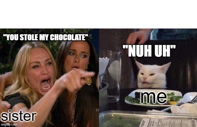 I did steal it | "YOU STOLE MY CHOCOLATE"; "NUH UH"; me; sister | image tagged in memes,woman yelling at cat | made w/ Imgflip meme maker