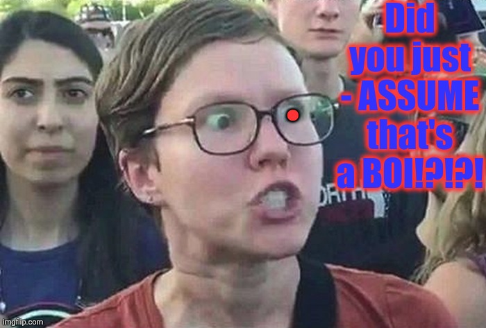 Triggered Liberal | Did you just - ASSUME that's a BOI!?!?! . | image tagged in triggered liberal | made w/ Imgflip meme maker