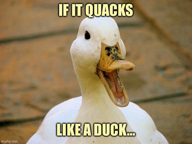 Duck | IF IT QUACKS LIKE A DUCK… | image tagged in duck | made w/ Imgflip meme maker
