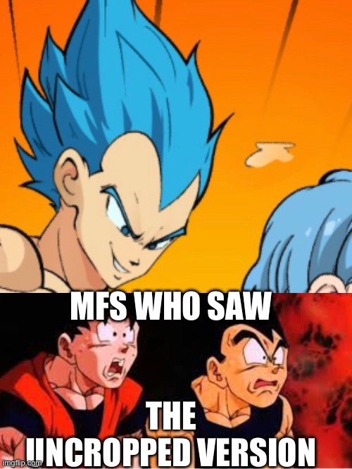 Come on down to The CORNPUB! | MFS WHO SAW; THE UNCROPPED VERSION | image tagged in goku and vegeta concerned,cornpub,the hub,orange youtube,dbz,bro | made w/ Imgflip meme maker