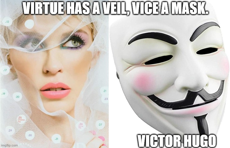 VIRTUE HAS A VEIL, VICE A MASK. VICTOR HUGO | image tagged in kylie veil,anonymous | made w/ Imgflip meme maker