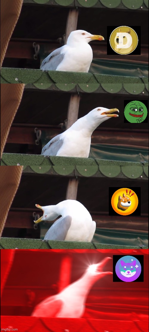 SSHIB/SOL to the moon | image tagged in memes,inhaling seagull | made w/ Imgflip meme maker