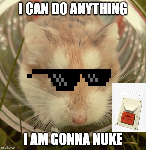 Gerbil1 anything i can do | I CAN DO ANYTHING; I AM GONNA NUKE | image tagged in gerbil1 anything i can do | made w/ Imgflip meme maker
