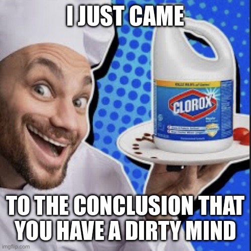 Chef serving clorox | I JUST CAME; TO THE CONCLUSION THAT
YOU HAVE A DIRTY MIND | image tagged in chef serving clorox | made w/ Imgflip meme maker