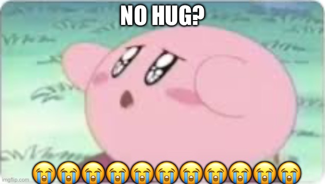 No hug | NO HUG? 😭😭😭😭😭😭😭😭😭😭😭 | image tagged in memes,funny | made w/ Imgflip meme maker