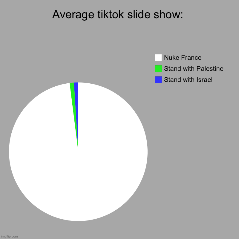☢️Legalised nuclear bombs☢️ | Average tiktok slide show: | Stand with Israel, Stand with Palestine, Nuke France | image tagged in charts,pie charts | made w/ Imgflip chart maker