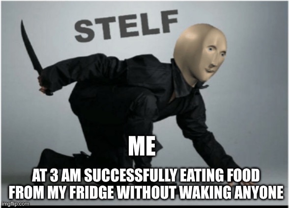 Stelf | ME; AT 3 AM SUCCESSFULLY EATING FOOD FROM MY FRIDGE WITHOUT WAKING ANYONE | image tagged in stelf | made w/ Imgflip meme maker