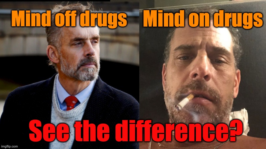 Mind Off Drugs | Mind on drugs; Mind off drugs; See the difference? | image tagged in jordan peterson,hunter biden,don't do drugs,drugs,drugs are bad,drug addiction | made w/ Imgflip meme maker