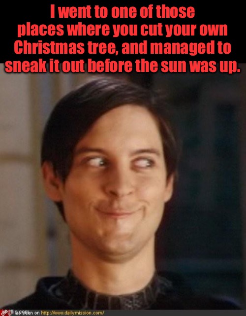 Xmas | I went to one of those places where you cut your own Christmas tree, and managed to sneak it out before the sun was up. | image tagged in that look you give your friend | made w/ Imgflip meme maker