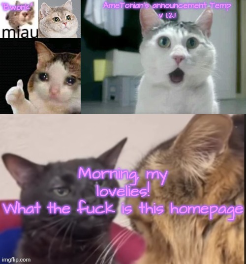 AmeTonian's announcement Temp v 1.2.1 | Morning, my lovelies!
What the fuck is this homepage | image tagged in ametonian's announcement temp v 1 2 1 | made w/ Imgflip meme maker