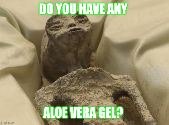 alien mexico | DO YOU HAVE ANY; ALOE VERA GEL? | image tagged in alien mexico | made w/ Imgflip meme maker