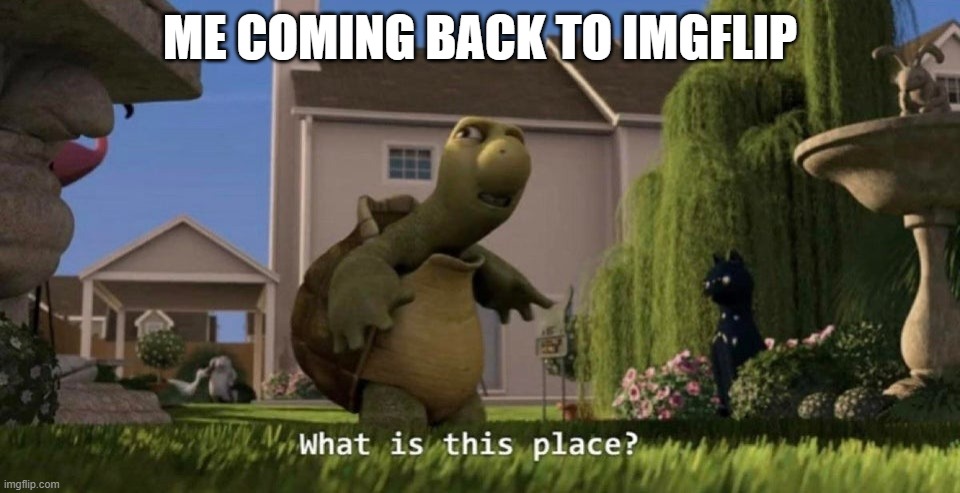 Why did it change so much? | ME COMING BACK TO IMGFLIP | image tagged in what is this place | made w/ Imgflip meme maker