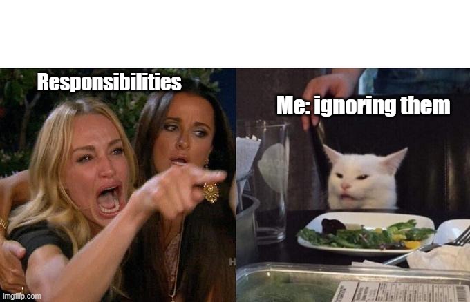 Woman Yelling At Cat | Responsibilities; Me: ignoring them | image tagged in memes,woman yelling at cat | made w/ Imgflip meme maker