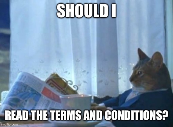 Click here for terms and conditions | SHOULD I; READ THE TERMS AND CONDITIONS? | image tagged in memes,i should buy a boat cat | made w/ Imgflip meme maker