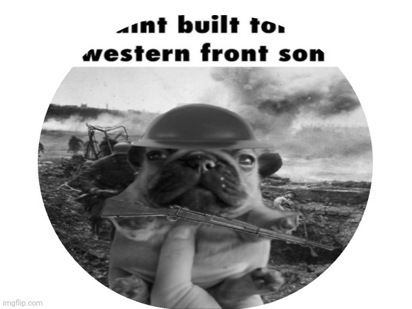 Profile picture | made w/ Imgflip meme maker