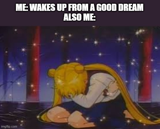 sailor moon depression | ME: WAKES UP FROM A GOOD DREAM
ALSO ME: | image tagged in sailor moon depression | made w/ Imgflip meme maker
