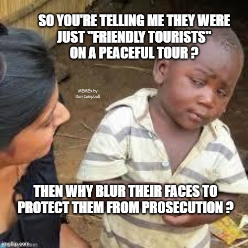 so your telling me | SO YOU'RE TELLING ME THEY WERE
JUST "FRIENDLY TOURISTS"
ON A PEACEFUL TOUR ? MEMEs by Dan Campbell; THEN WHY BLUR THEIR FACES TO
PROTECT THEM FROM PROSECUTION ? | image tagged in so your telling me | made w/ Imgflip meme maker