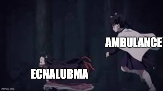 Kanao chasin Nezuko | AMBULANCE ECNALUBMA | image tagged in kanao chasin nezuko | made w/ Imgflip meme maker