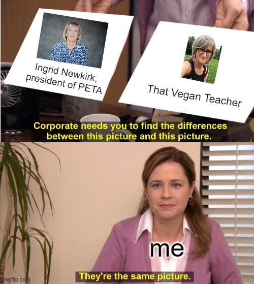 They're both vegan-crazy people who go too far. | Ingrid Newkirk, president of PETA; That Vegan Teacher; me | image tagged in memes,they're the same picture,peta,that vegan teacher | made w/ Imgflip meme maker