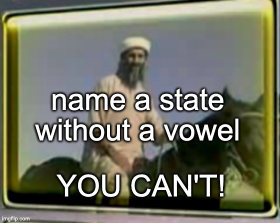 YOU CANNOT BRO | name a state without a vowel; YOU CAN'T! | image tagged in osama on horse | made w/ Imgflip meme maker