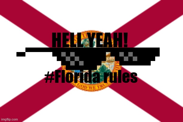 florida | HELL YEAH! #Florida rules | image tagged in florida flag | made w/ Imgflip meme maker