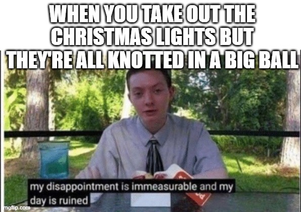 This puts me ABOUT 2 HOURS behind schedule with decorating because now I have to sit there and unknot them | WHEN YOU TAKE OUT THE CHRISTMAS LIGHTS BUT THEY'RE ALL KNOTTED IN A BIG BALL | image tagged in my dissapointment is immeasurable and my day is ruined | made w/ Imgflip meme maker