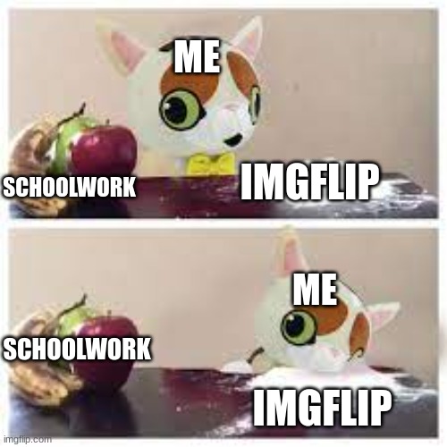 ah yes | ME; SCHOOLWORK; IMGFLIP; ME; SCHOOLWORK; IMGFLIP | image tagged in graystillplays spleens fruit or cocaine cocaine it is | made w/ Imgflip meme maker