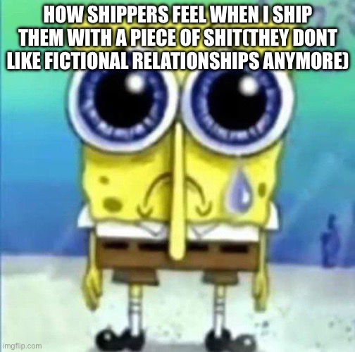sad bob sponge | HOW SHIPPERS FEEL WHEN I SHIP THEM WITH A PIECE OF SHIT(THEY DONT LIKE FICTIONAL RELATIONSHIPS ANYMORE) | image tagged in sad bob sponge | made w/ Imgflip meme maker