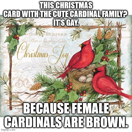 Happy Holidays | THIS CHRISTMAS CARD WITH THE CUTE CARDINAL FAMILY? 
IT'S GAY. BECAUSE FEMALE CARDINALS ARE BROWN. | made w/ Imgflip meme maker