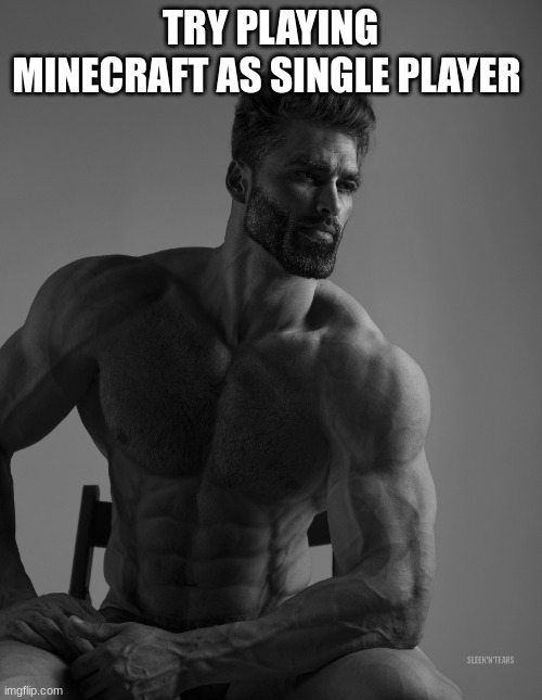 Giga Chad | TRY PLAYING MINECRAFT AS SINGLE PLAYER | image tagged in giga chad | made w/ Imgflip meme maker