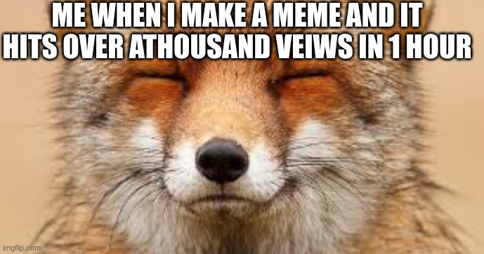 lets see how famous this fox can get | ME WHEN I MAKE A MEME AND IT HITS OVER ATHOUSAND VEIWS IN 1 HOUR | image tagged in fox | made w/ Imgflip meme maker